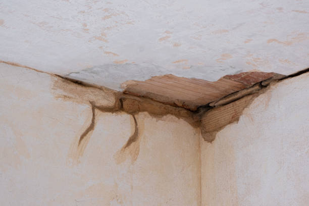 Best Water damage restoration near me  in Brownsville, TN