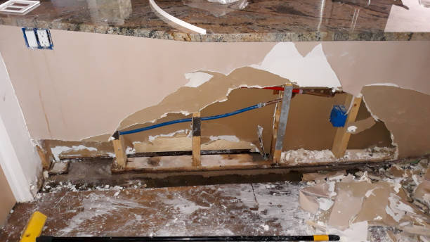 Best Water damage contractors near me  in Brownsville, TN
