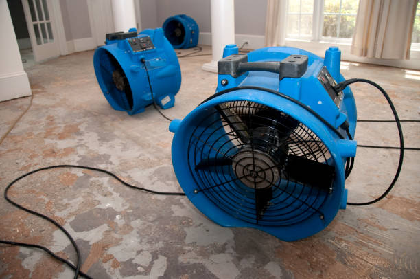 Best Residential water damage restoration  in Brownsville, TN