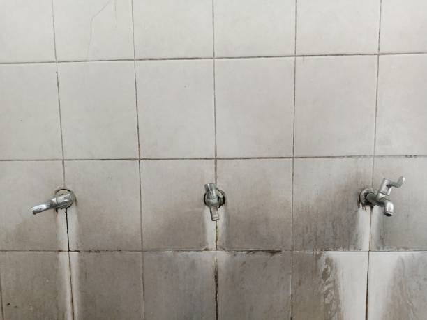 Best Water damage restoration near me  in Brownsville, TN