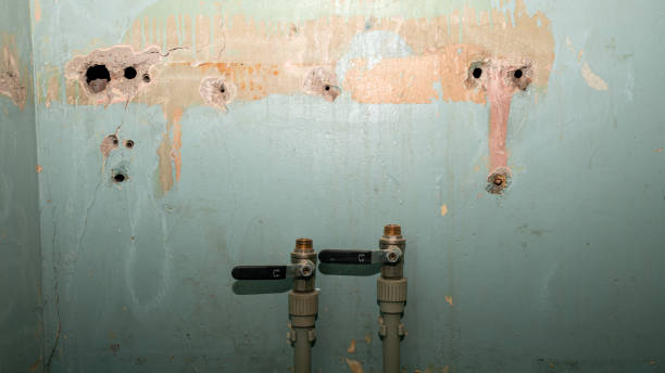 Best Water damage restoration company  in Brownsville, TN